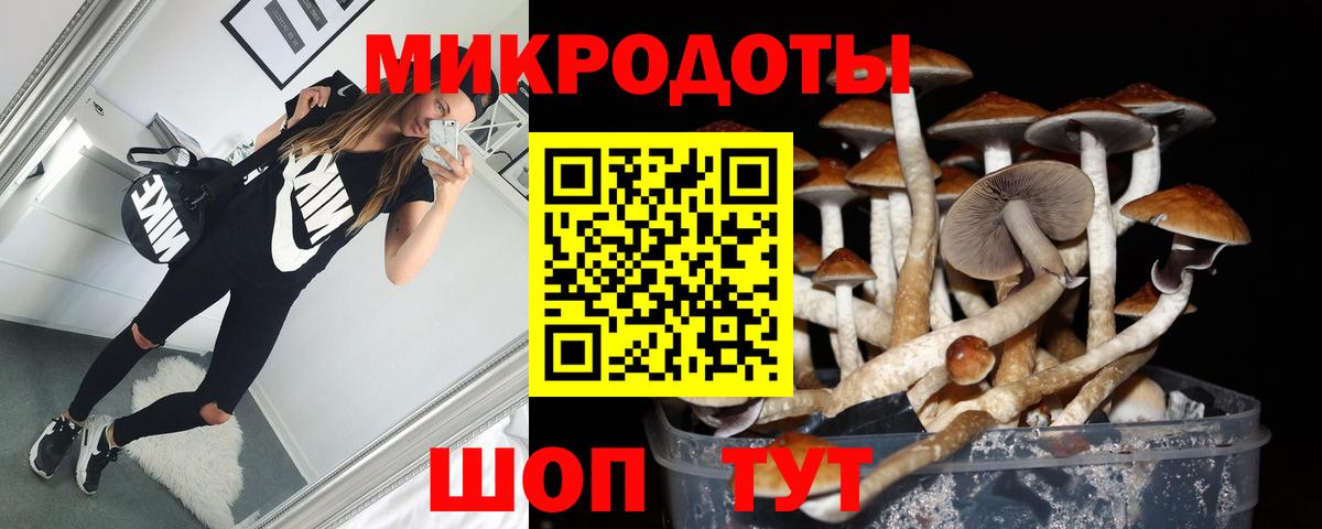 Кохма  Галлюциногенные грибы Cubensis  Вход с VPN 